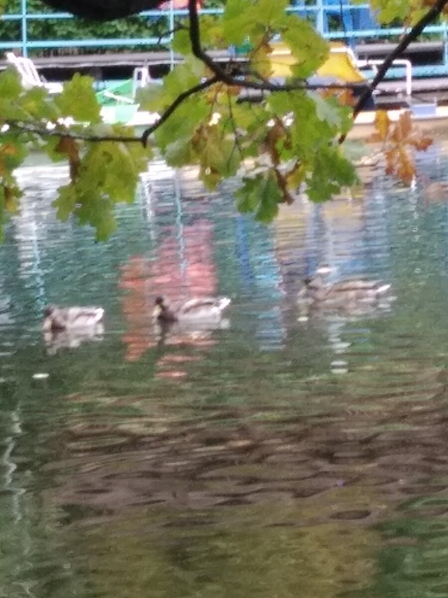 Семейный бюджет