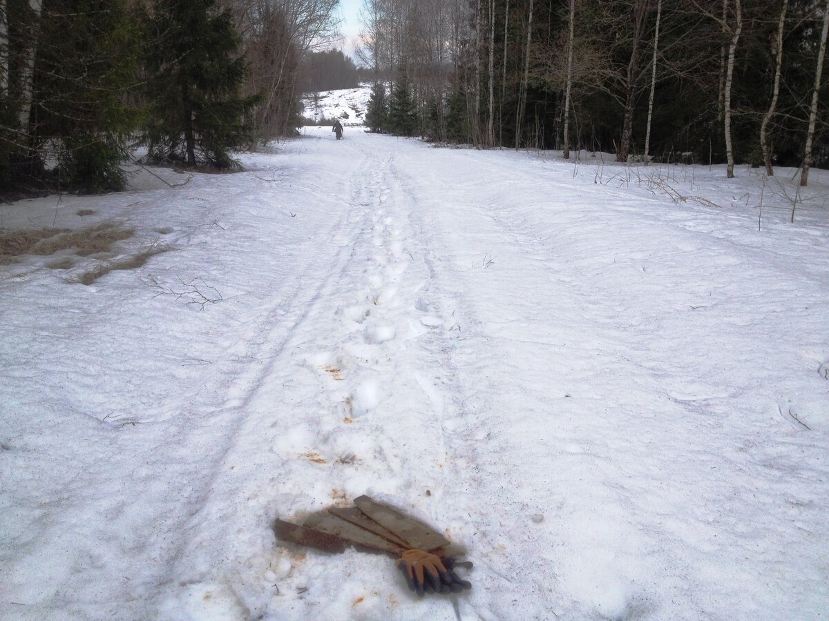 Ездил с товарищами на урочища и они разумно отговорили меня от идеи ехать до места и часть дороги мы прошли пешком, с трудом вернувшись потом по глубокому снегу.