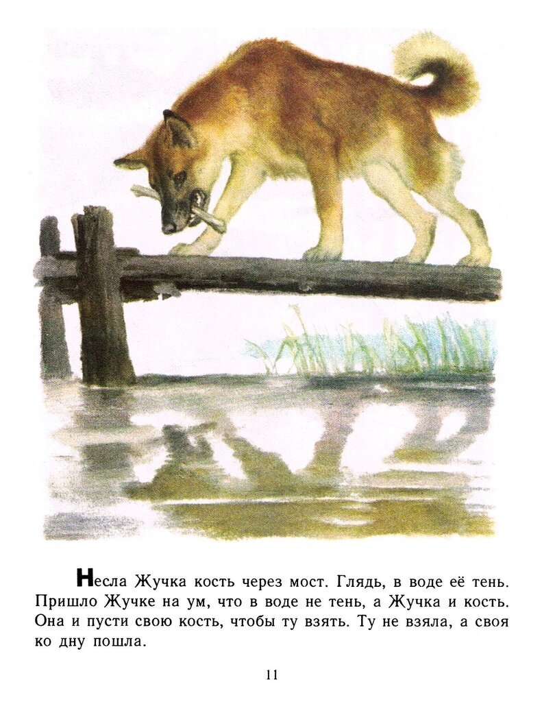 Несла жучка кость. Чтение азбука 1 класс. Жучка толстой. Несла жучка кость через мост. Несла жучка кость через мост.