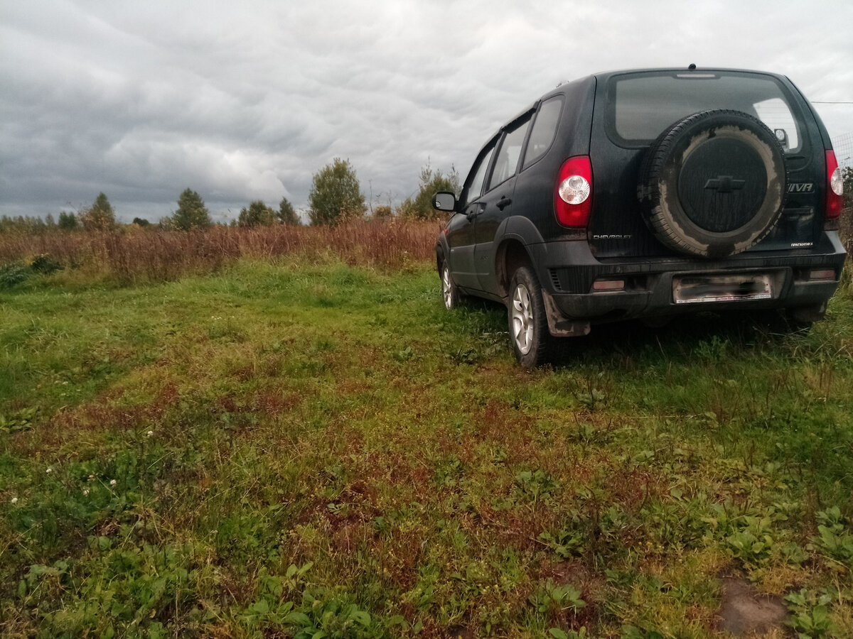 Моя шнива в полях, в своей стихии:)