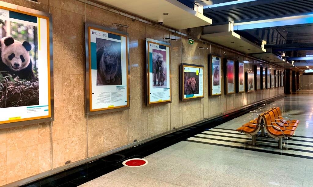Выставочная галерея на станции метро "Выставочная"