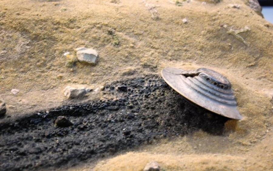 Летающая тарелка Розуэлла/©Flickr