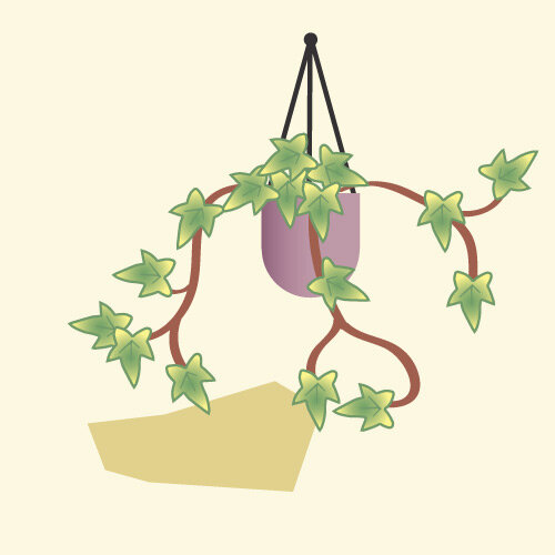 Фото взято с сайта https://www.flyingflowers.co.uk/