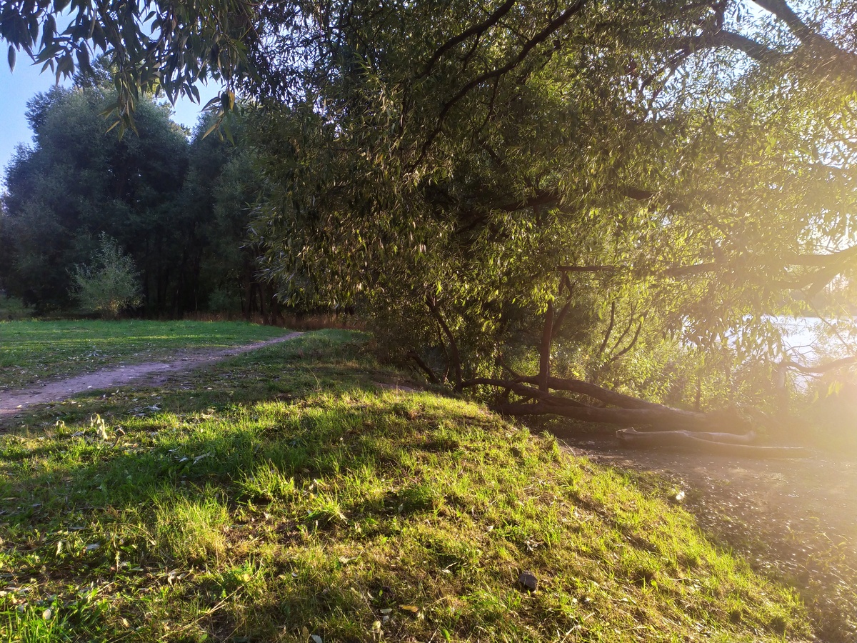 Хорошая обработка