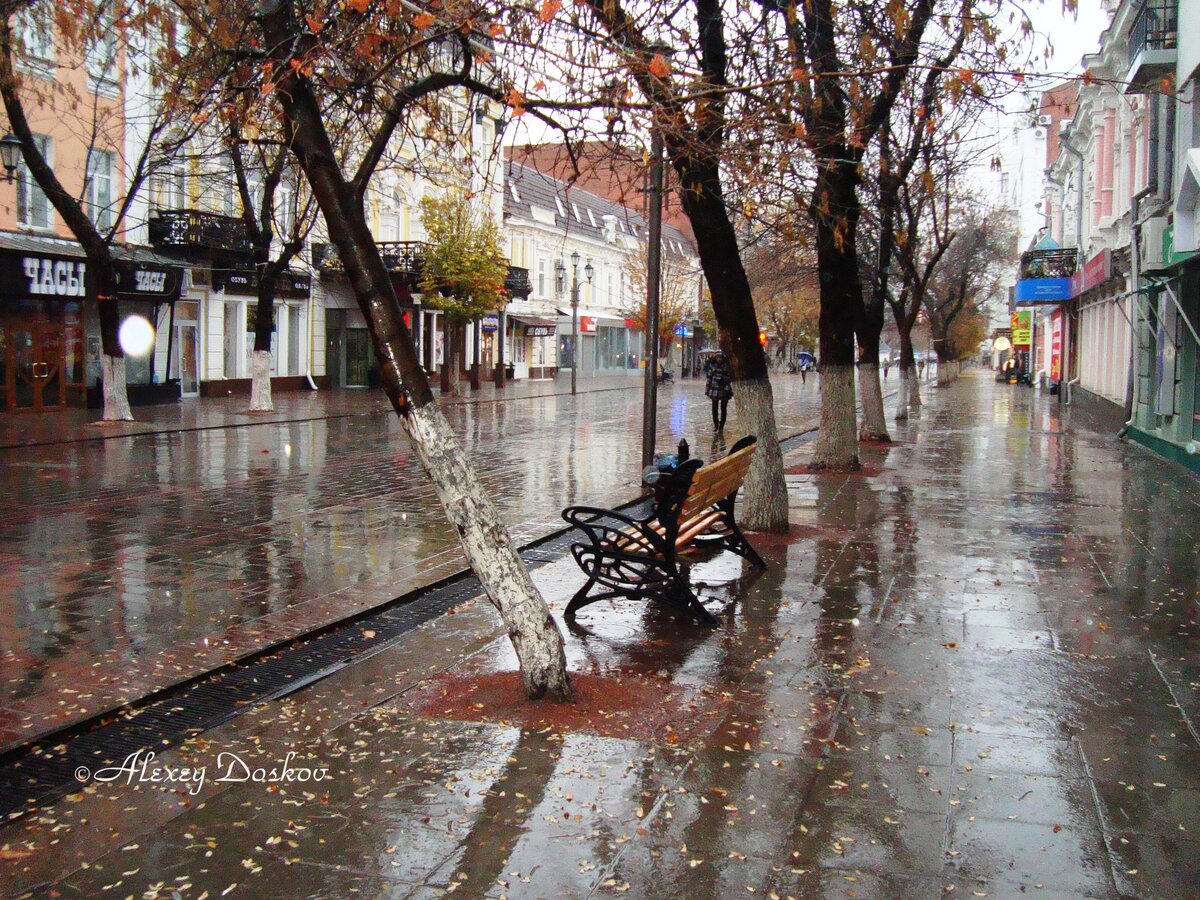 Проспект кирова фото