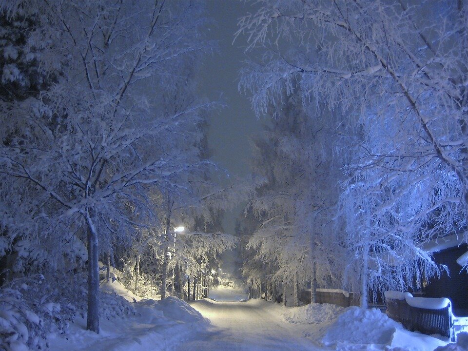 https://cdn.pixabay.com/photo/2013/02/21/09/13/winter-84171_960_720.jpg