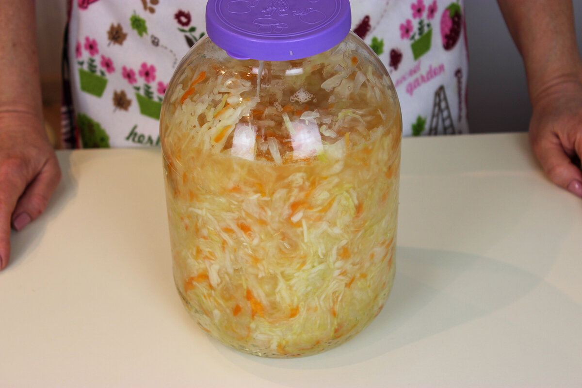 Квашенная капуста в рассоле. Как солить капусту в собственном соку. Квашеная капуста на зиму. Гифки квасить капусту. Квашеная капуста в собственном соку в банке.