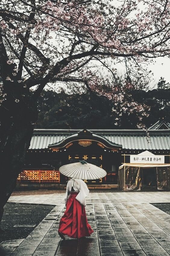 https://pins.scarybest.com/yasukuni-shine-yoshiro-ishii/