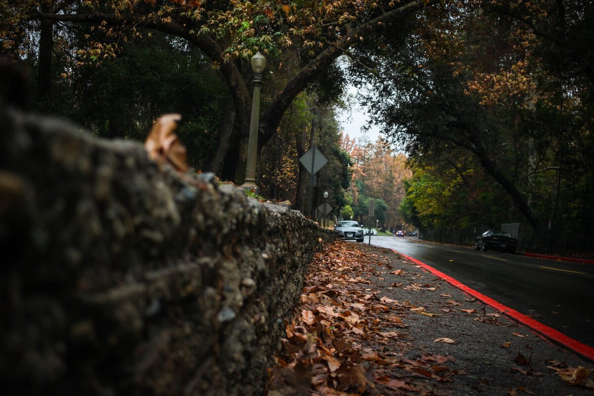 The Road (https://images.pexels.com/photos/1475893/pexels-photo-1475893.jpeg?auto=compress&cs=tinysrgb&dpr=2&h=750&w=1260)