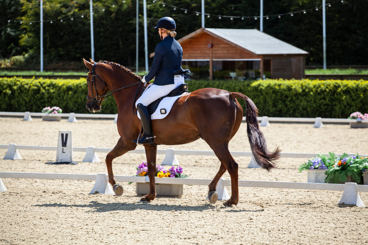 https://skitterphoto.com/photos/6429/dressage-rider-in-ring