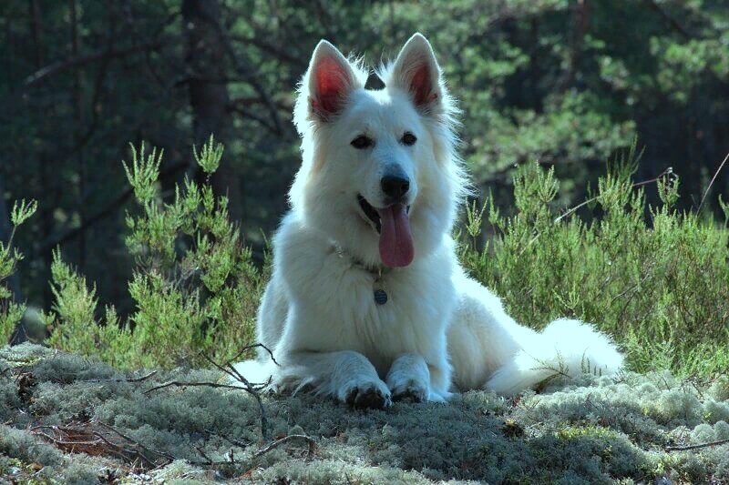 Фото взято с открытых источников