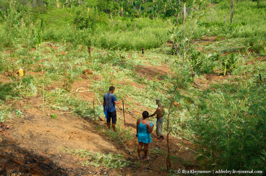 2. Разметка.

