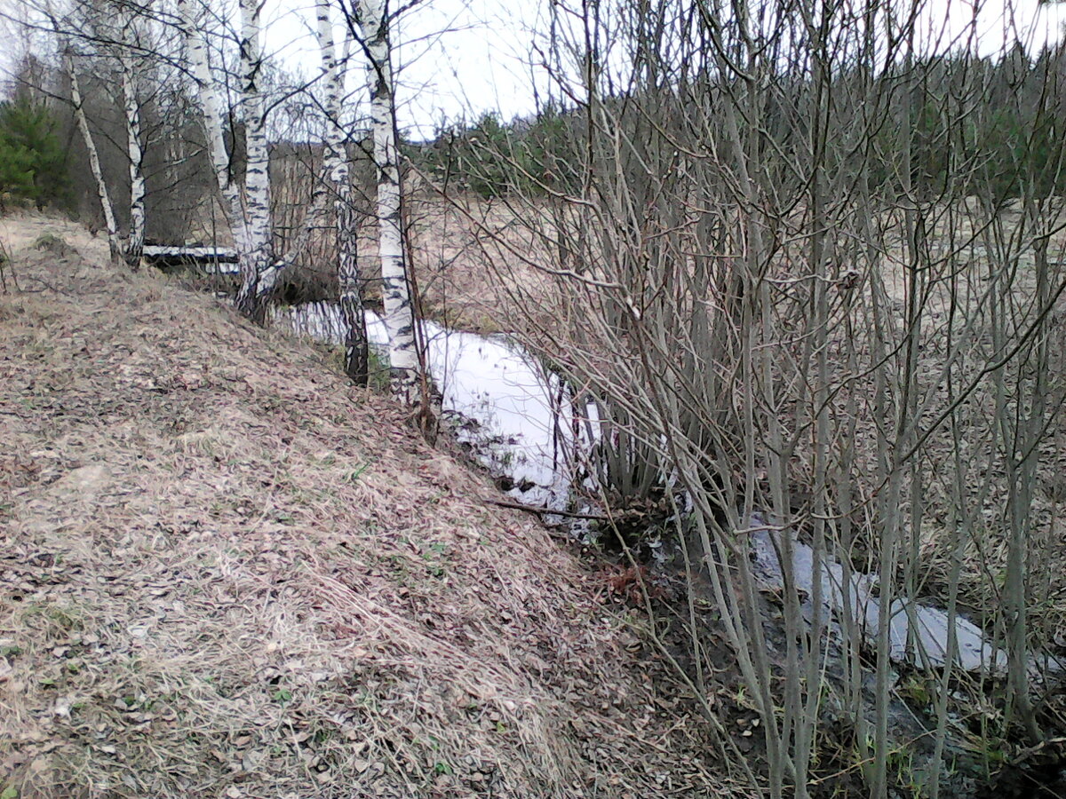 Река Кестромка. Рядом с д. Аксениха