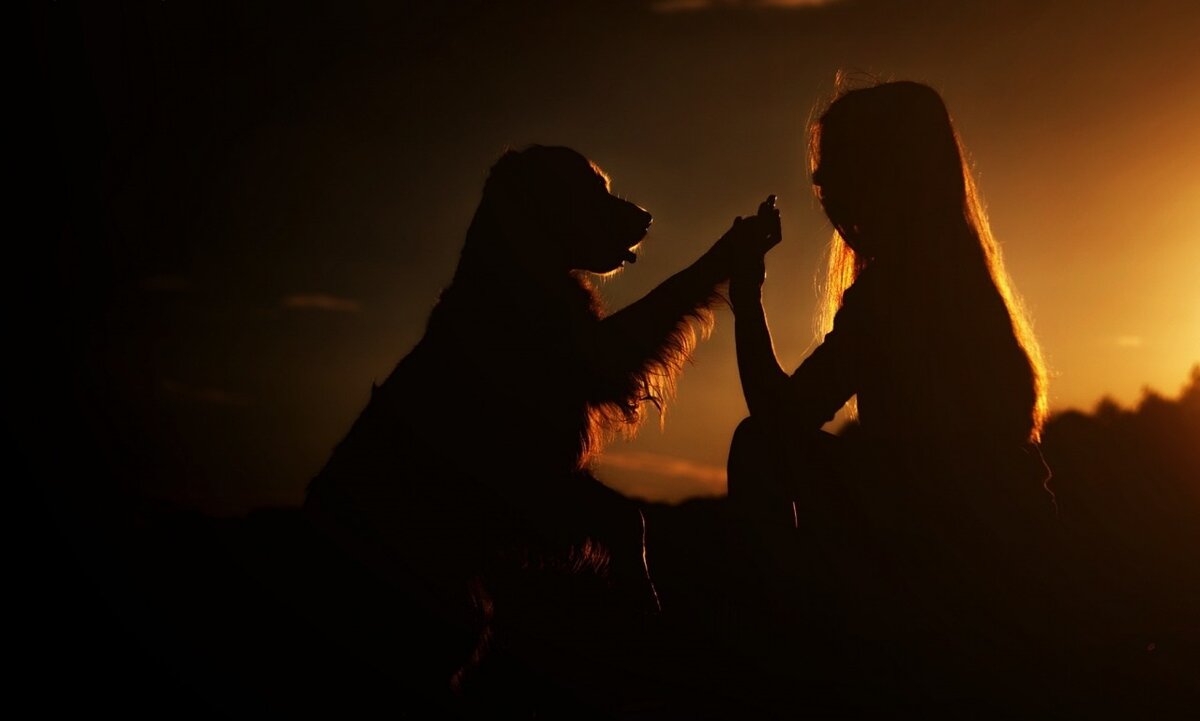 Фото: permdaily.ru