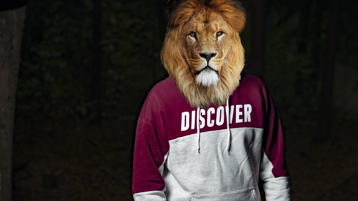 Лев - тигр)))