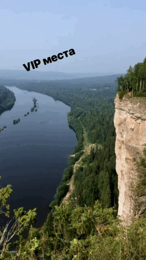 Березки растут прям у края