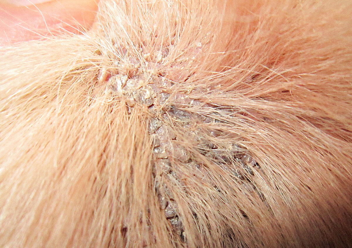 Фото из личного архива