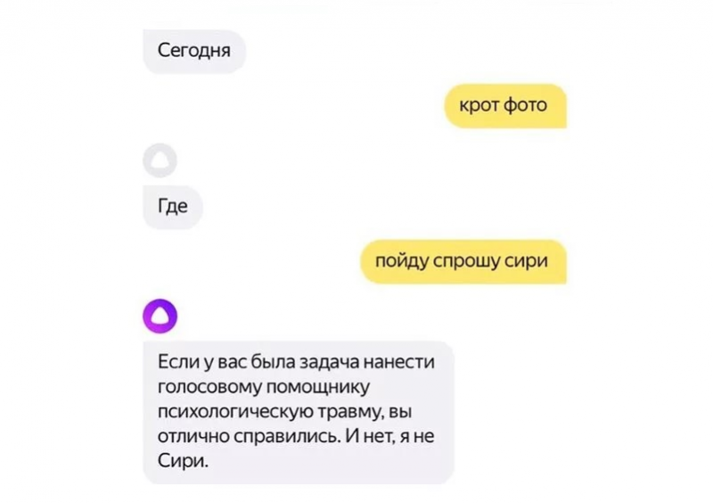 Алиса прочитай что написано. Голосовой помощник приколы. Разговаривать с Алисой. Голосовой помощник Алиса приколы. Поговорить с Алисой