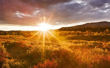 Детективный роман. Продолжение