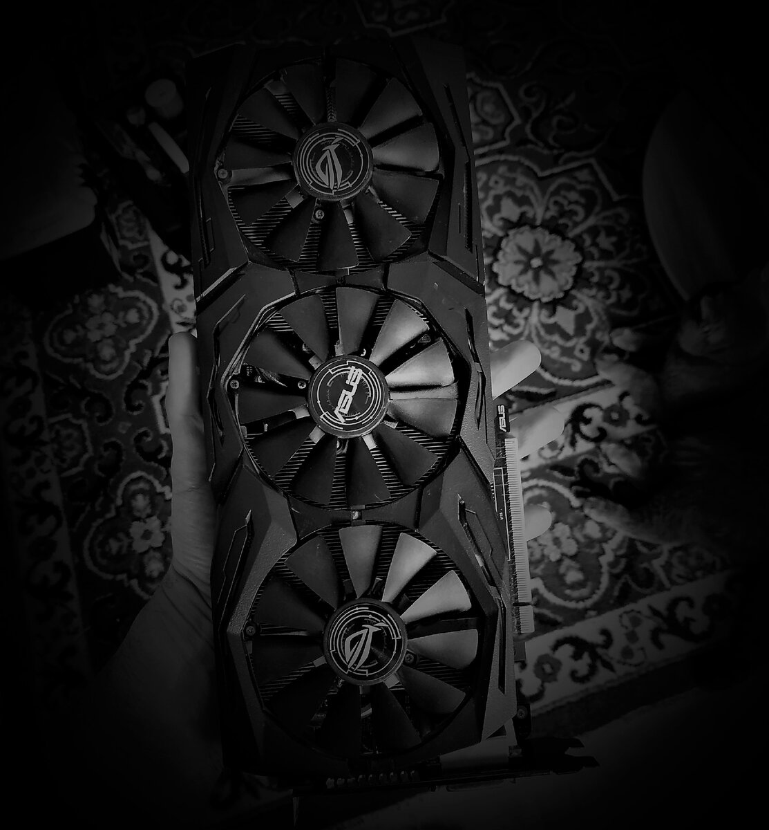 карту лично проверял кот :-)