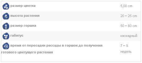 Скриншот со страницы https://www.farao.it/ru/assortment/аморе-мио