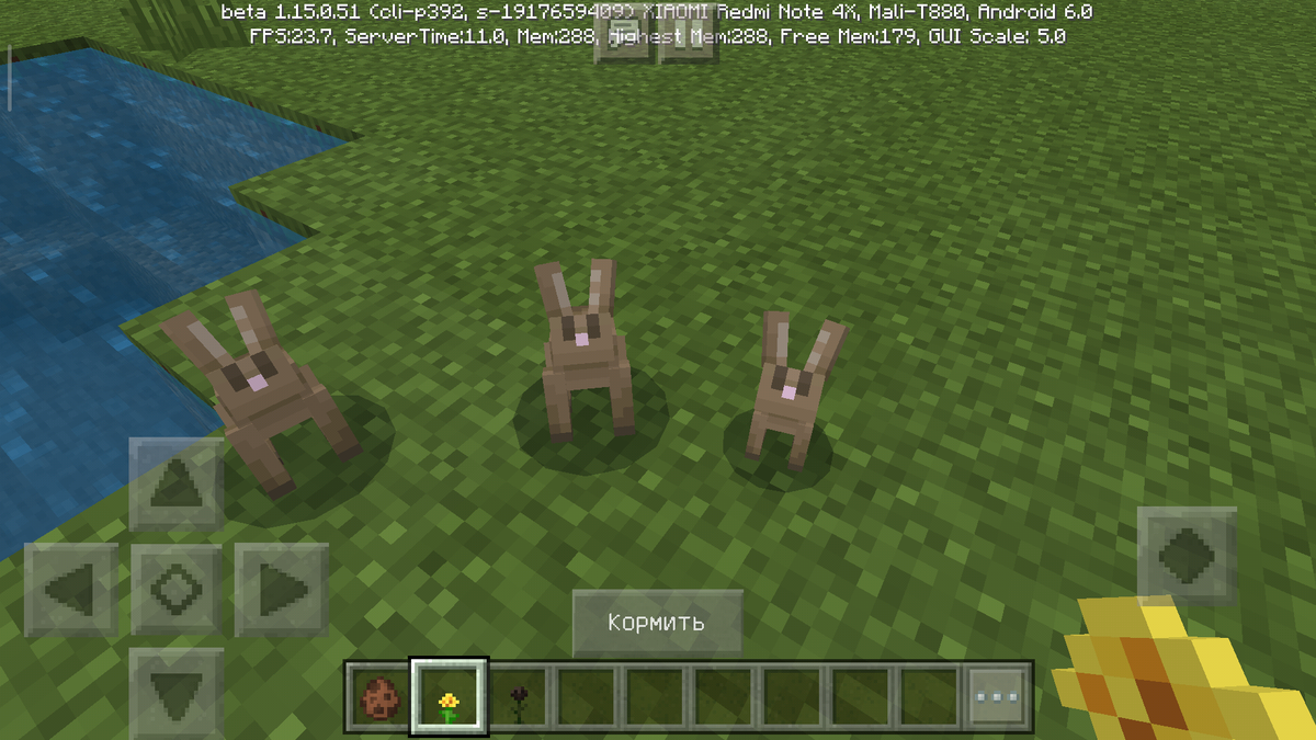 Кроликов можно покормить одуванчиками (Взято из личной коллекции)