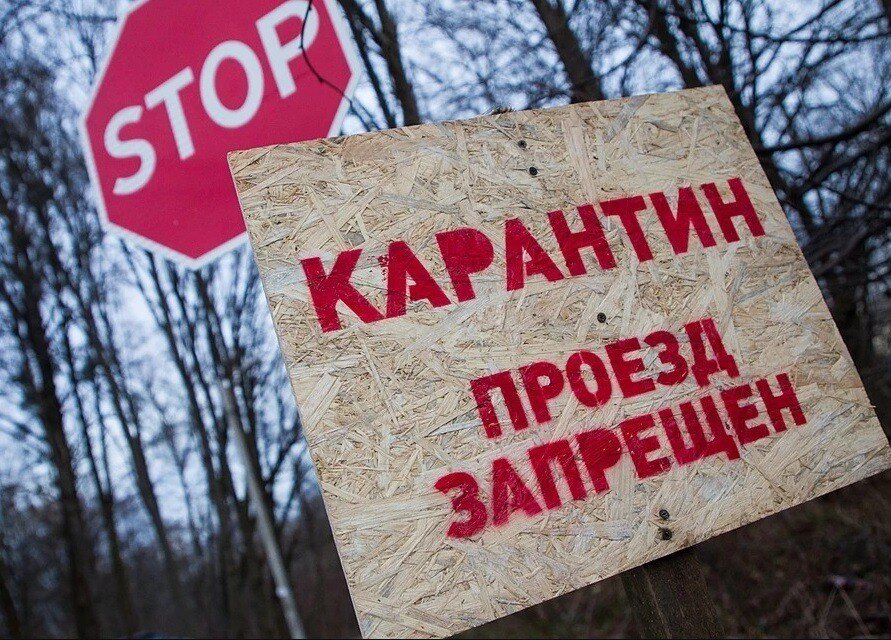 Скачано с ресурса Яндекс картинки