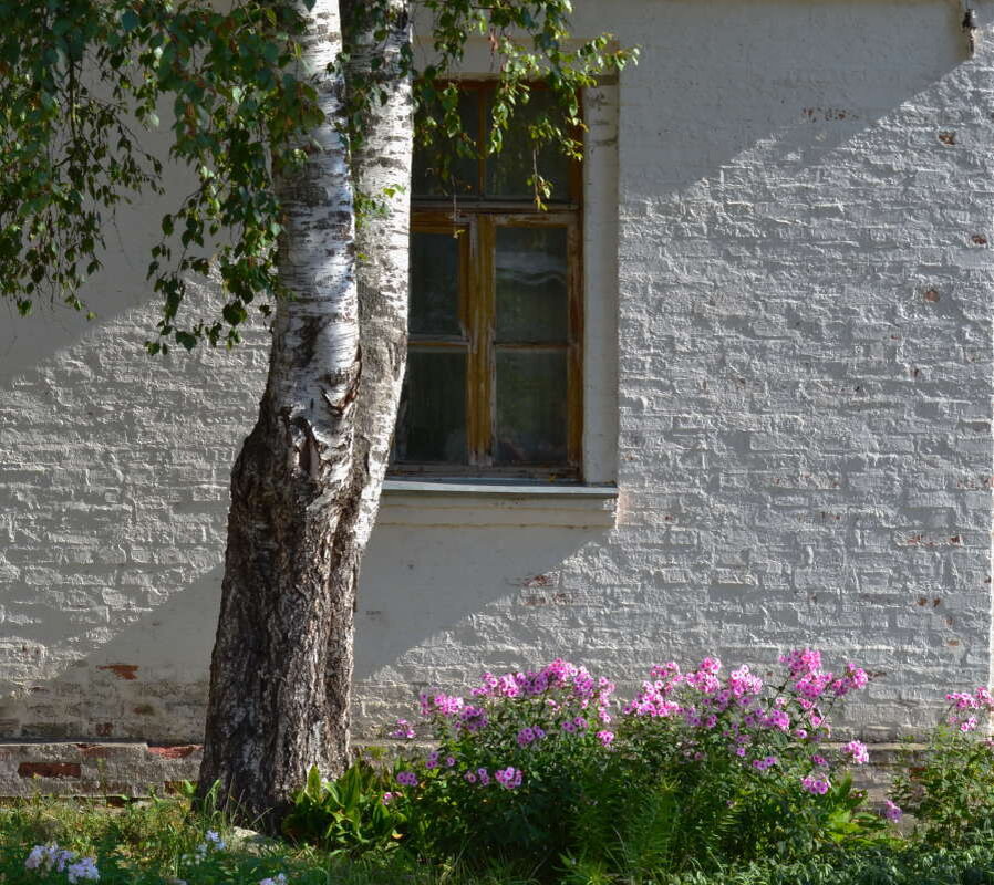 Фотография  из открытого доступа.