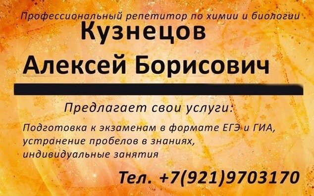 Визитка из 2010 года. Уже в то  время я готовил учеников к ГИА, которое в 2014 году стало именоваться ОГЭ