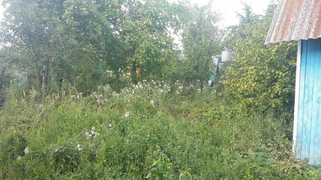 Загородная жизнь