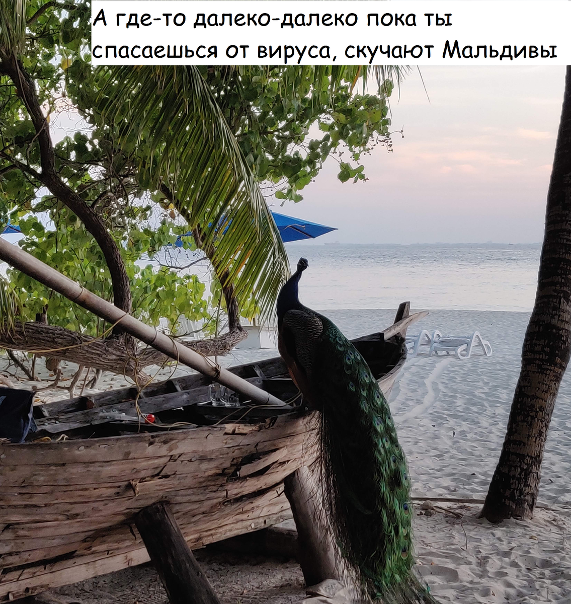 Foto by Svyatoslav Artyukhov