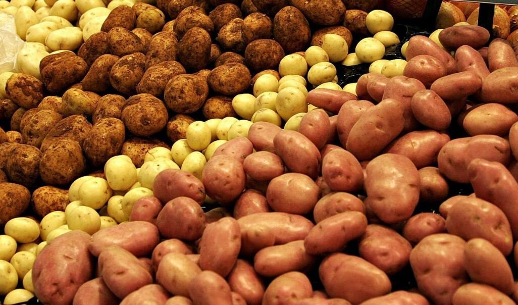 Картошка: как выбрать правильную для жарки и другие нюансы хрустящей корочки