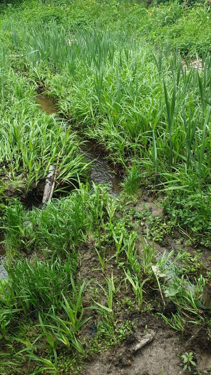 Речушка наша. Шикардосная. 