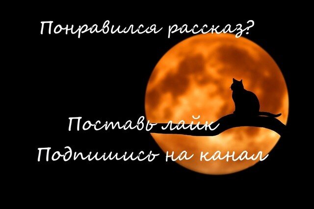 В квартире царил настоящий хаос. Тут и там попадалась разбросанная одежда вперемешку с обувью, на столе навалена куча непонятных вещей, приготовленных для разнообразных конкурсов.-2