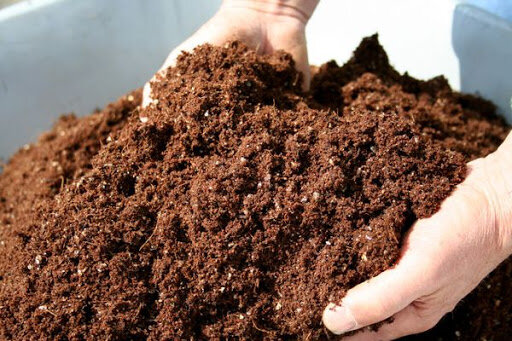 Что такое перегной? Чем он полезен для почвы и растений.