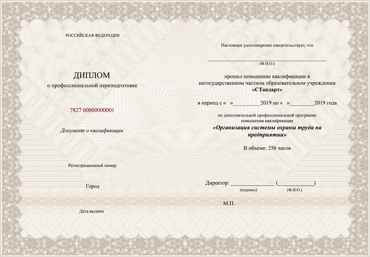 Диплом переподготовки по охране труда, экологии и промбезопасности.