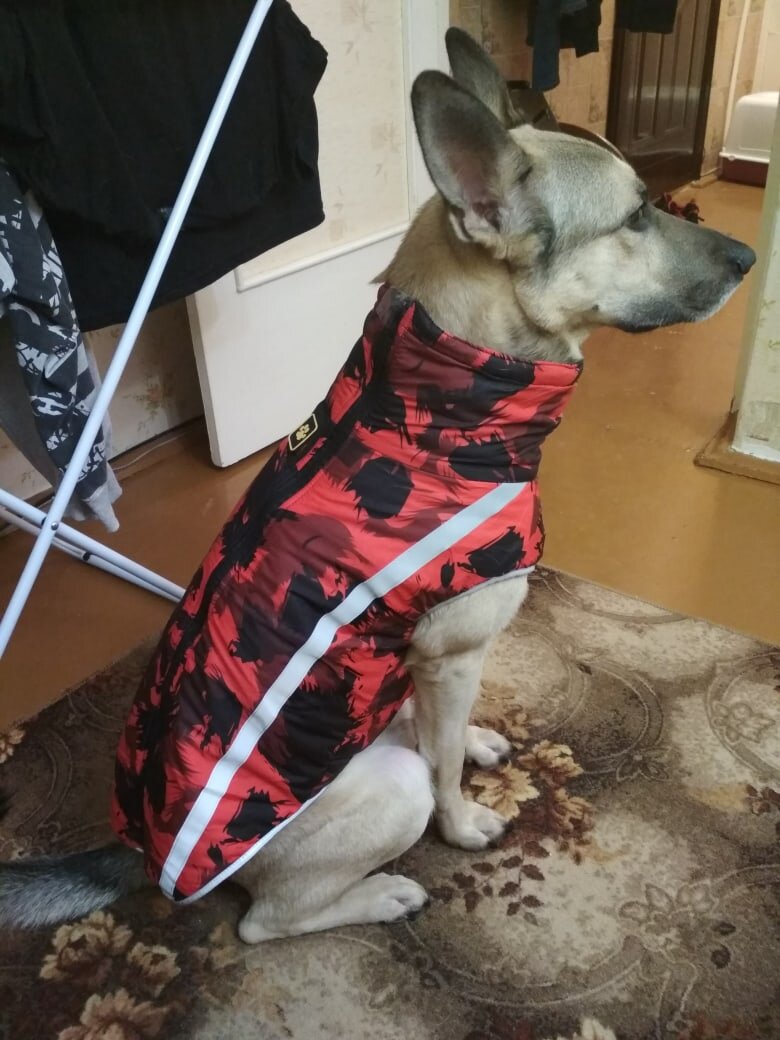 На фото куртка не такая яркая, как в жизни. 