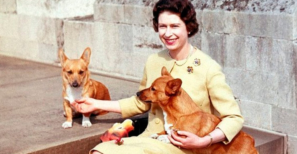 Королева Елизавета и дорги