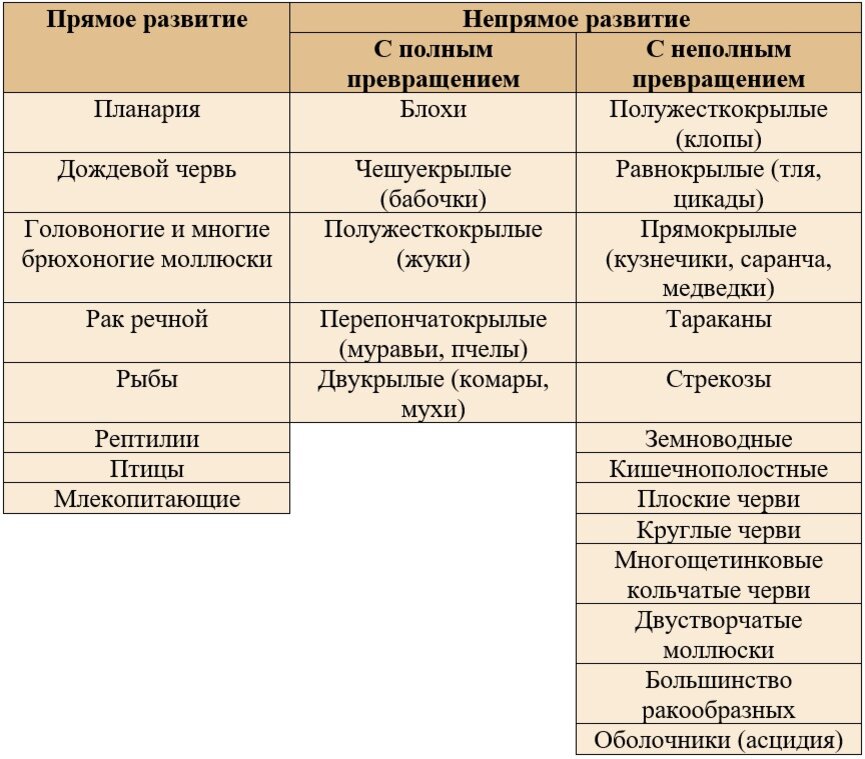 Среднее общее полное и неполное. Развитие с полным и неполным превращением. Полное и неполное Непрямое превращения. (Развитие с полным и развитие с неполным превращением). Прямое и Непрямое развитие таблица.