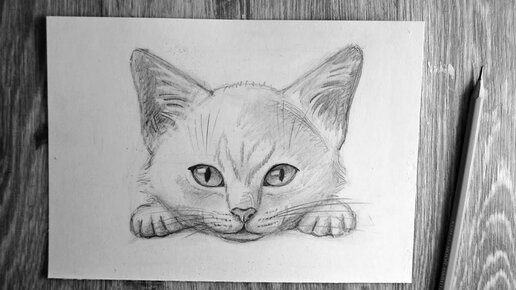 Рисуем морду | Drawing tutorial, Step by step drawing, Cat drawing