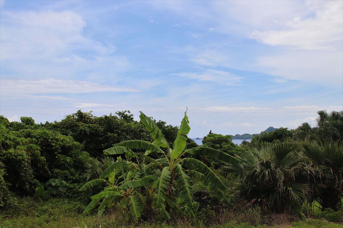 На острове Ishigaki 