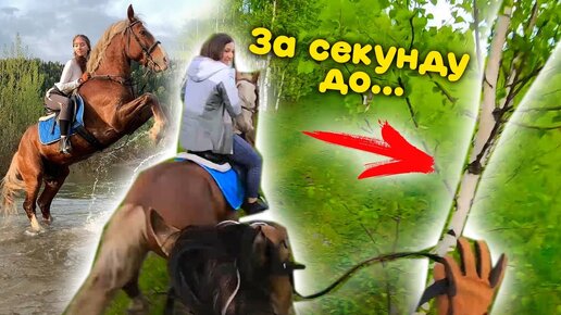 VLOG Врезалась В ДЕРЕВО на Лошади! КОННАЯ ПРОГУЛКА / Перевезла ВСЮ Амуницию!