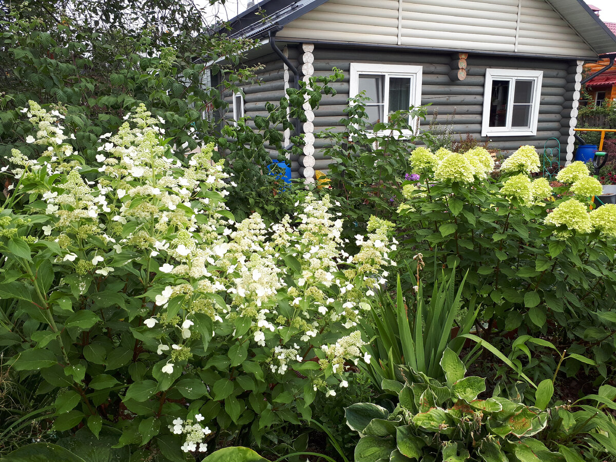 Подписывайтесь на мой канал!