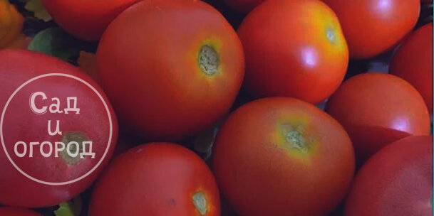 Исправить ситуацию можно моментально! Главное - найти причину.