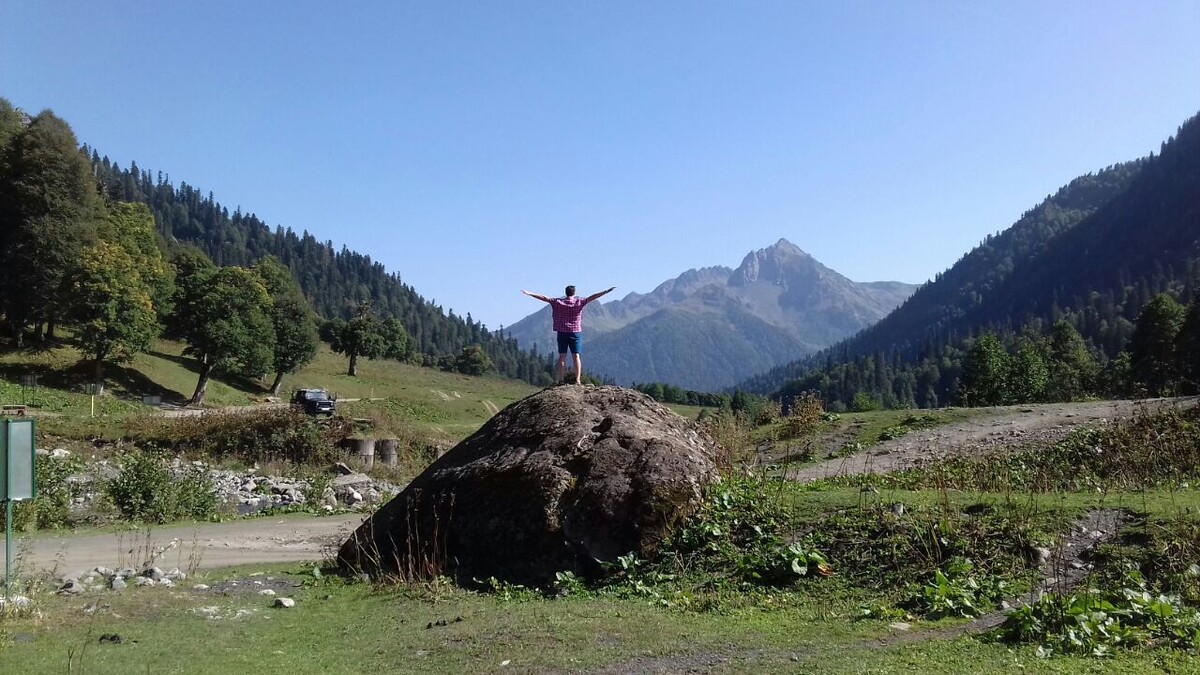 Альпийские луга