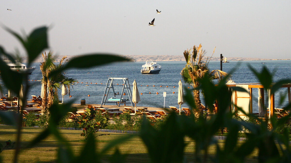 Фото: ИЗВЕСТИЯ/Иван Петров