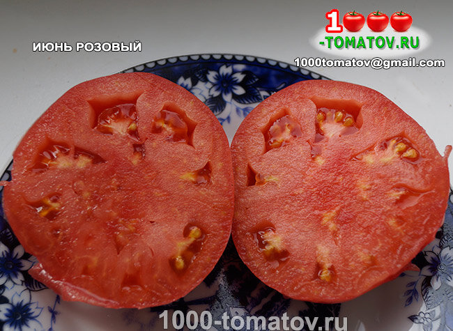 Томат Июнь Розовый June Pink фото 2