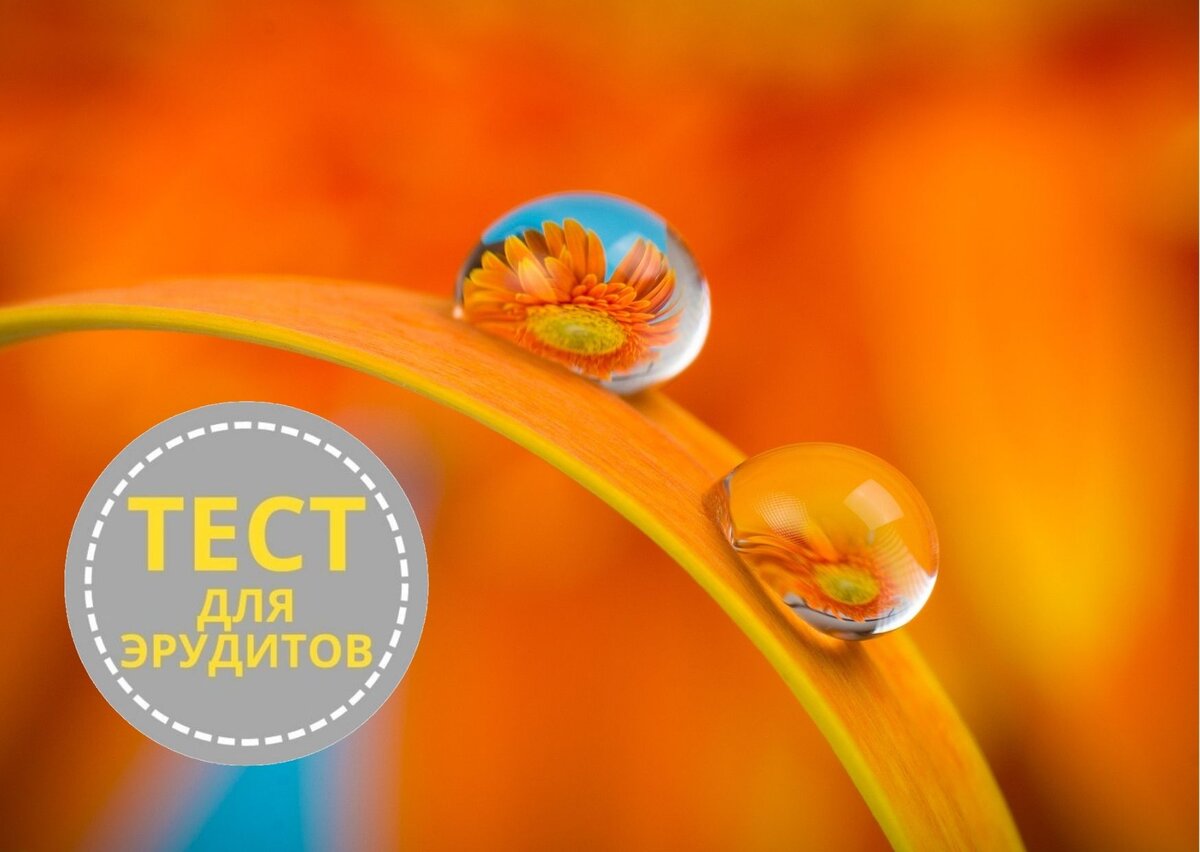 Источник изображения: pixabay.com, дизайн автора