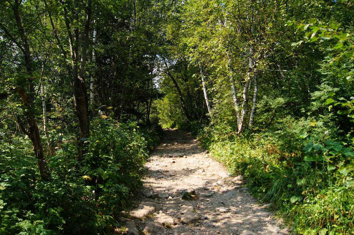 тропа к пограничному посту