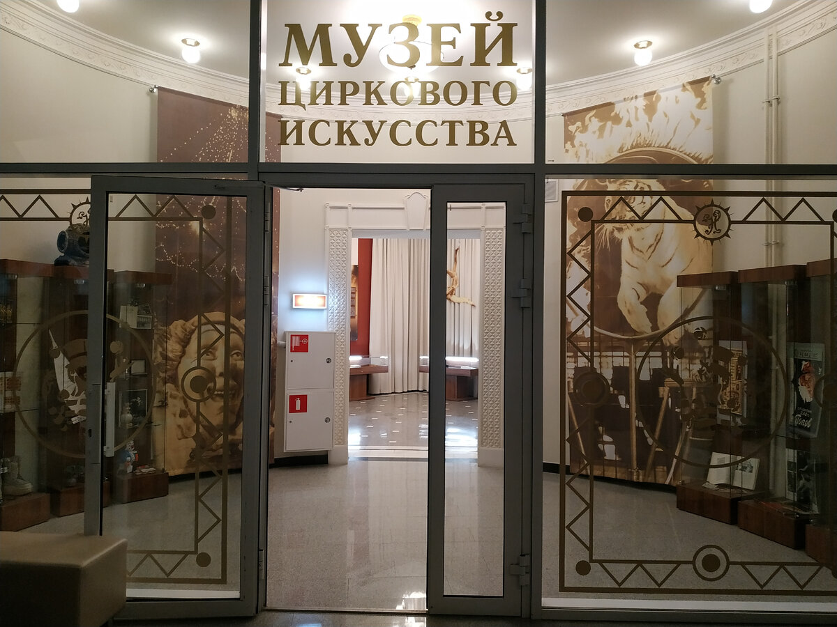 В этом году в Саратове произошло важное, долгожданное событие, после четырехлетнего перерыва снова открылся цирк!-17